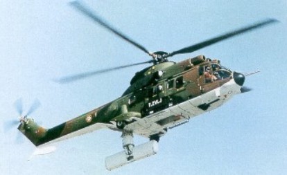 Cougar Horizon