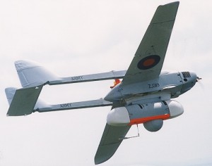 Phoenix UAV